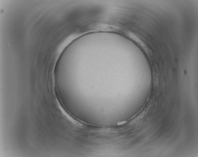 X0000071861479200607211905