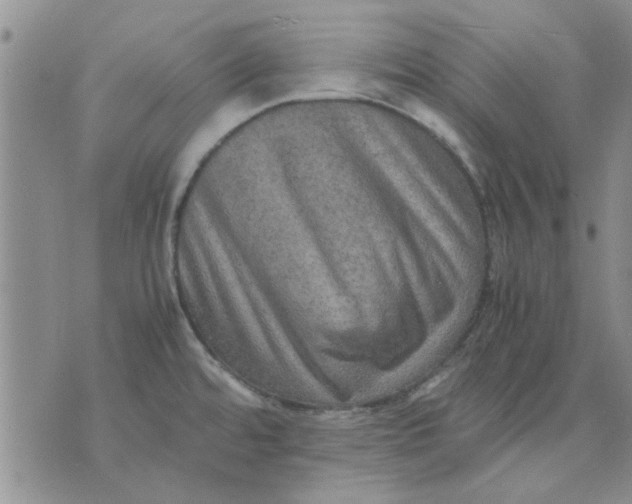 X0000071861480200607211905