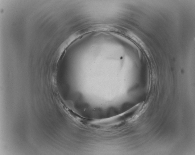 X0000071861481200607211905