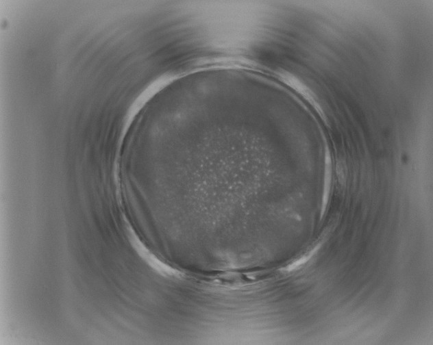 X0000071861482200607211905