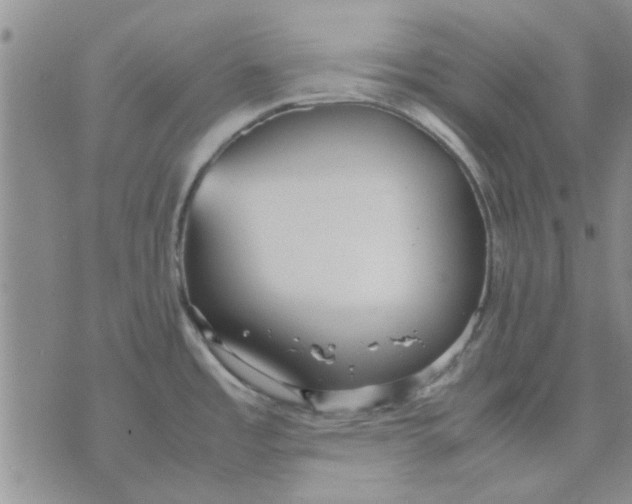 X0000071861485200607211905