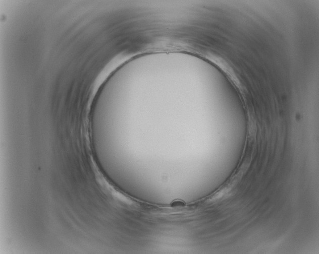 X0000071861486200607211905