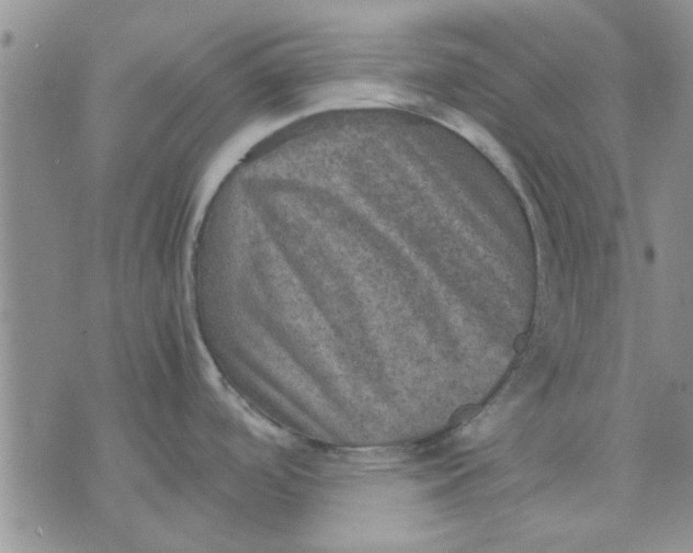 X0000071861488200607211904