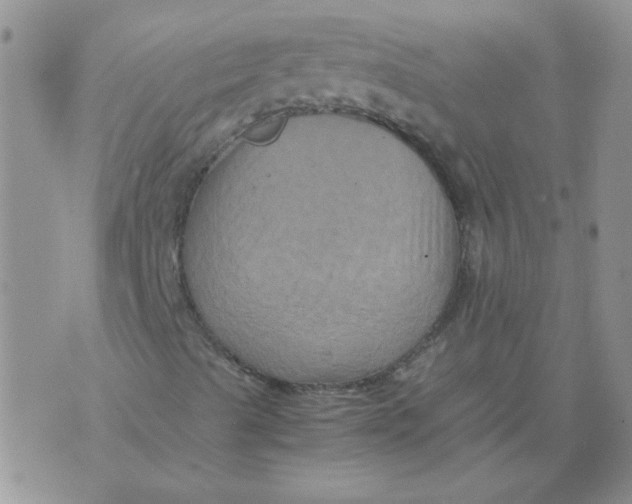 X0000071861489200607211904