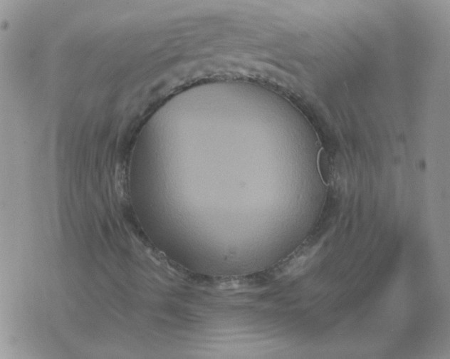 X0000071861490200607211904