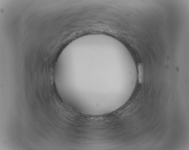 X0000071861491200607211904