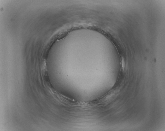 X0000071861492200607211904