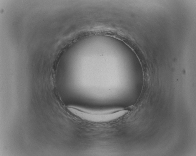 X0000071861493200607211904