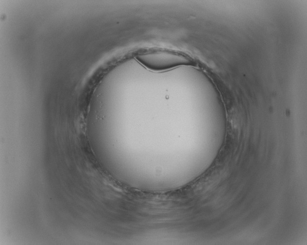 X0000071861495200607211904