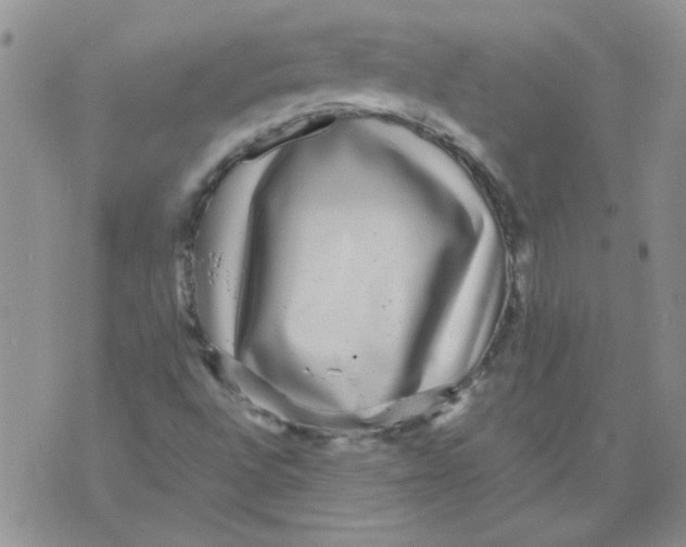 X0000071861496200607211904