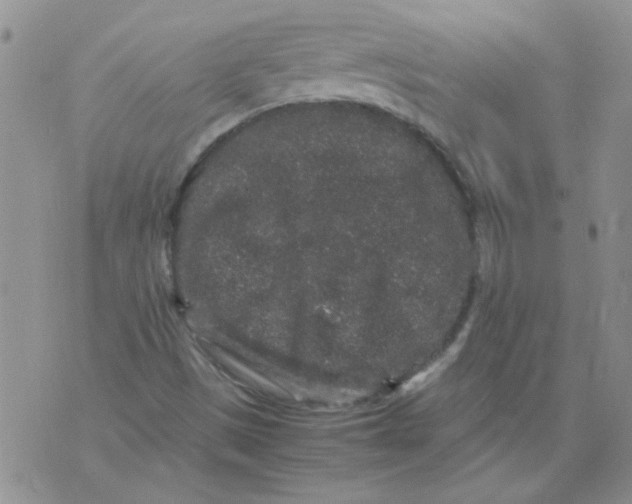 X0000071861497200607211904