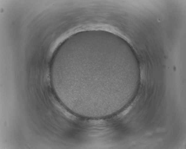 X0000071861498200607211904