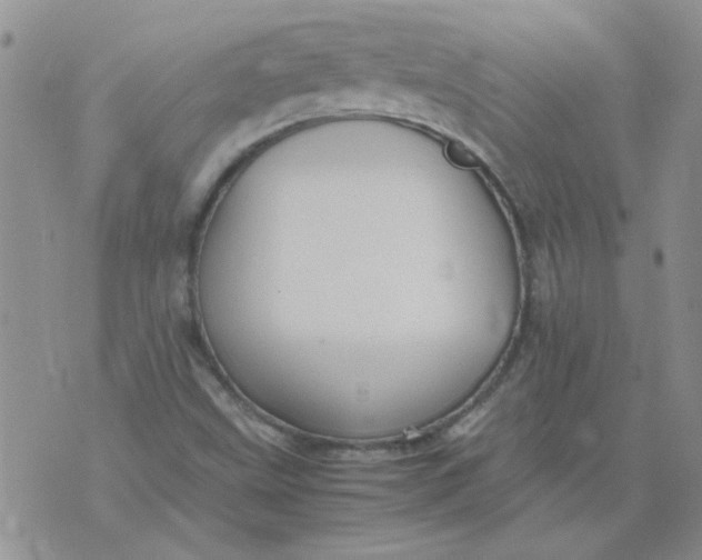 X0000071861499200607211904