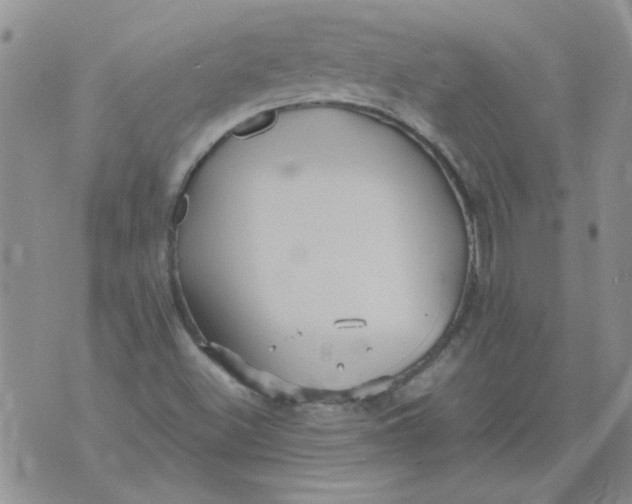 X0000071861500200607211904