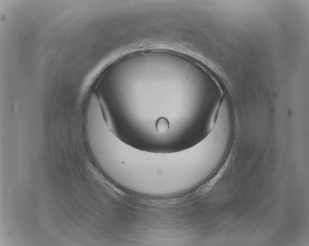 X0000071861502200607211904