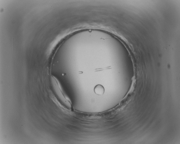 X0000071861503200607211904