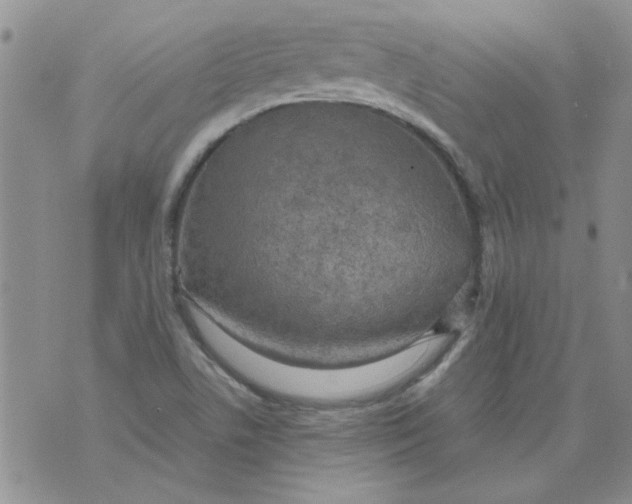 X0000071861506200607211904