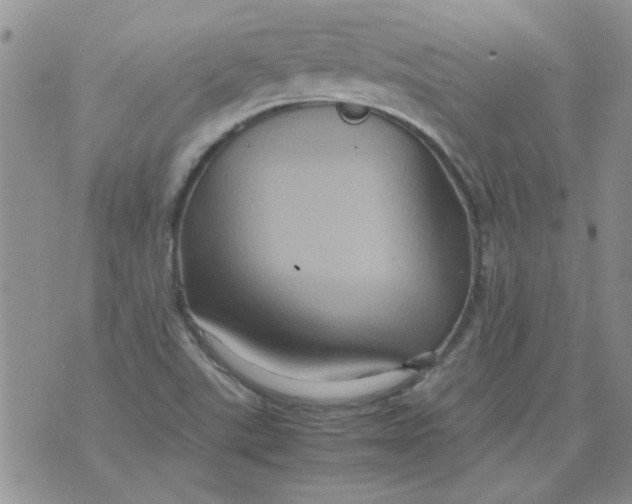 X0000071861507200607211904