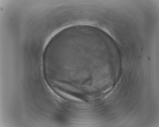 X0000071861508200607211904