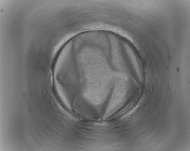 X0000071861509200607211904