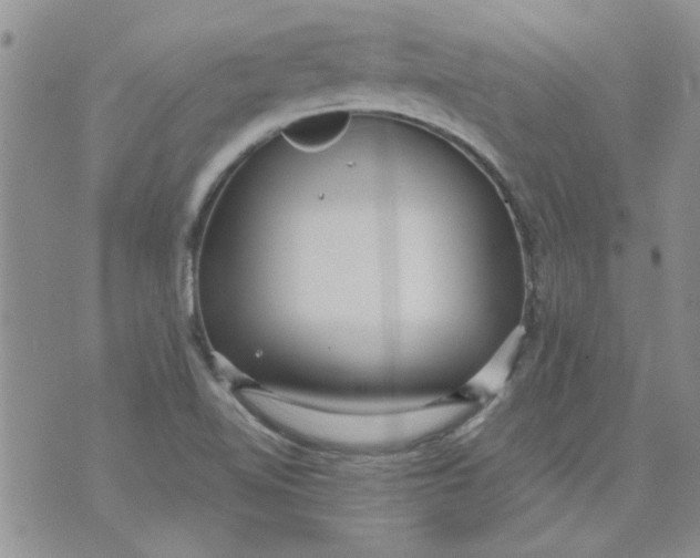 X0000071861510200607211904