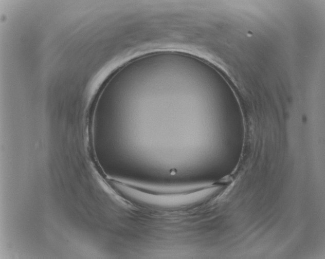 X0000071861511200607211904