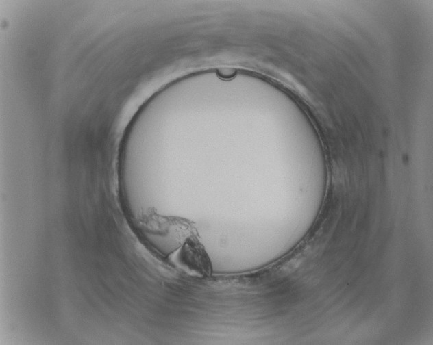 X0000071861512200607211904