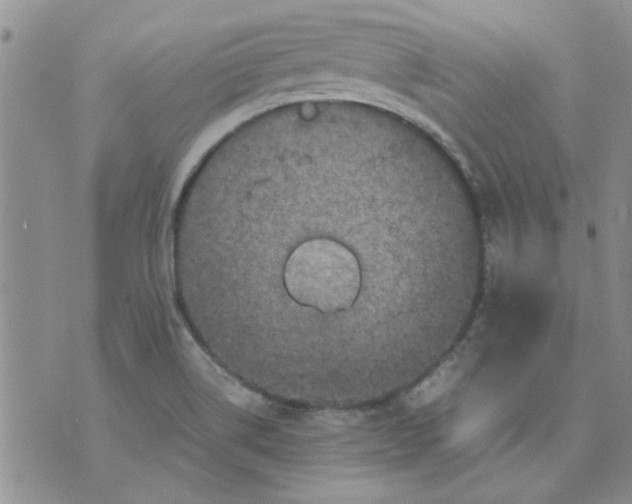 X0000071861514200607211904