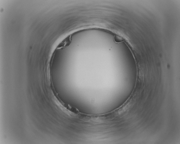 X0000071861516200607211904