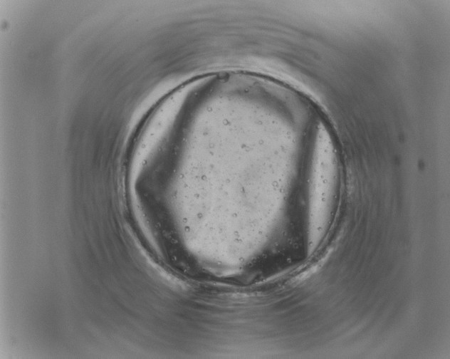 X0000071861517200607211904