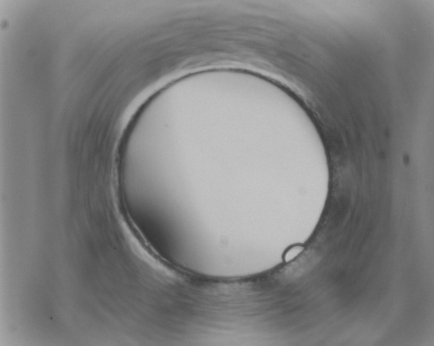 X0000071861518200607211904