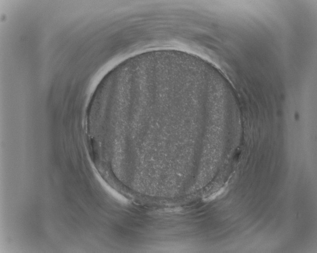 X0000071861519200607211904