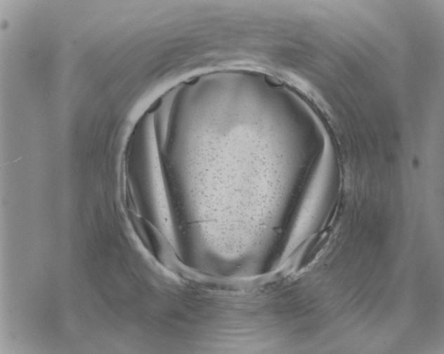 X0000071861520200607211904