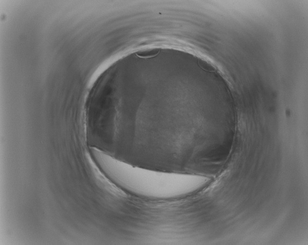 X0000071861522200607211904