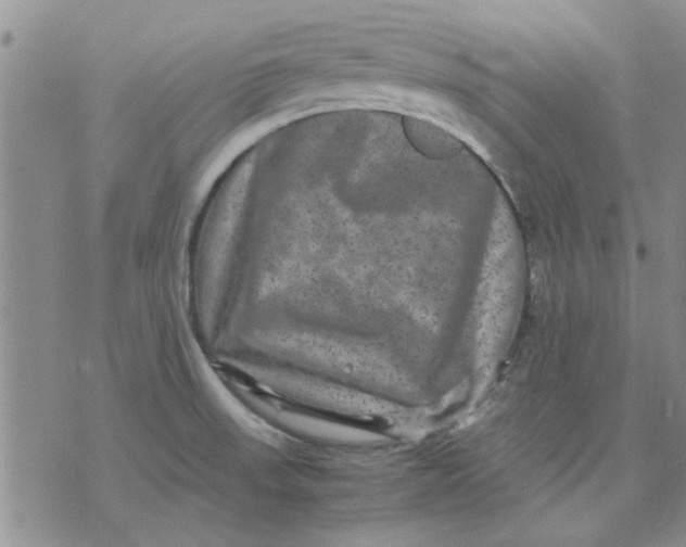 X0000071861523200607211904