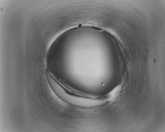 X0000071861524200607211904