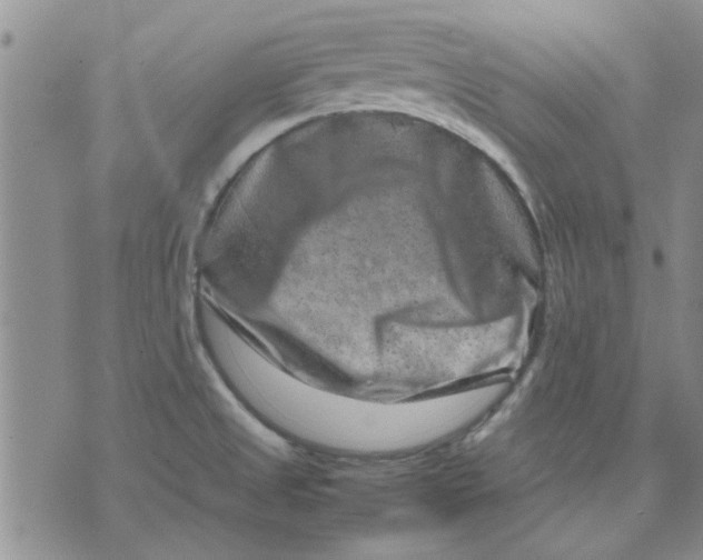 X0000071861525200607211904