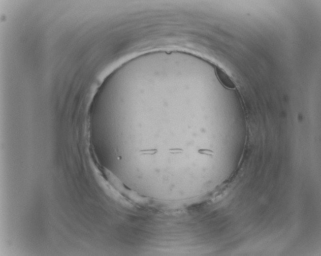 X0000071861526200607211904