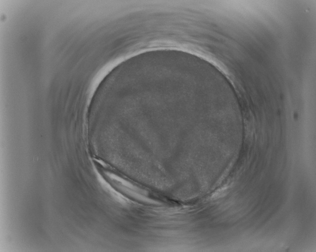 X0000071861527200607211904