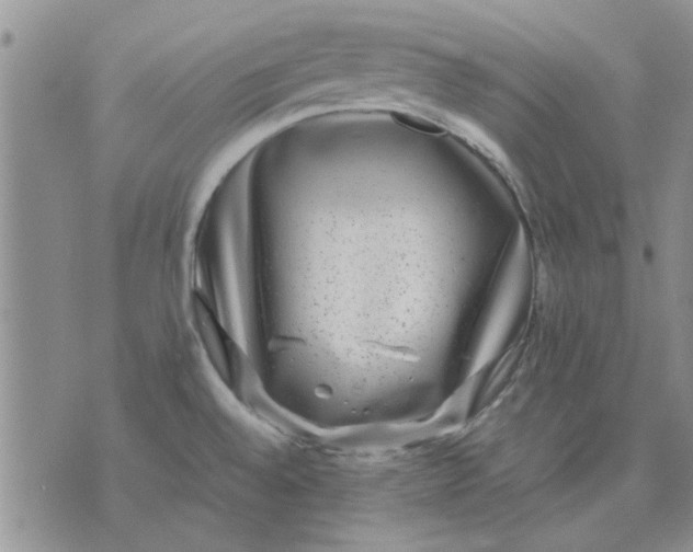 X0000071861528200607211904