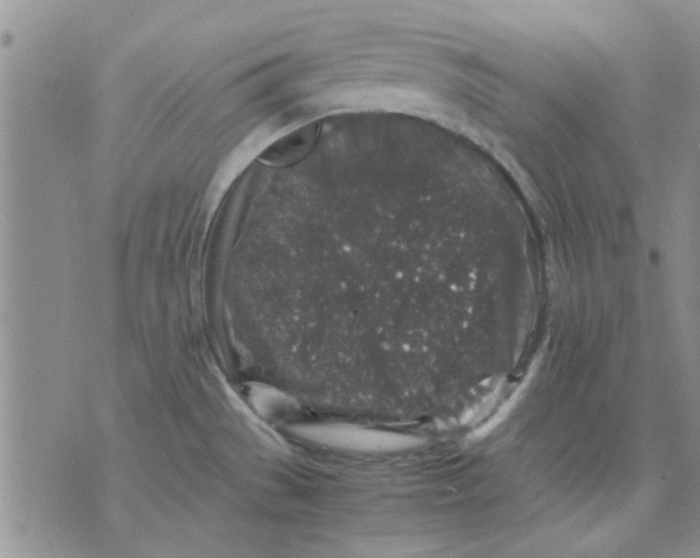 X0000071861529200607211904