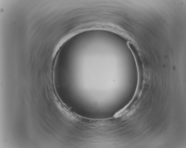 X0000071861530200607211904