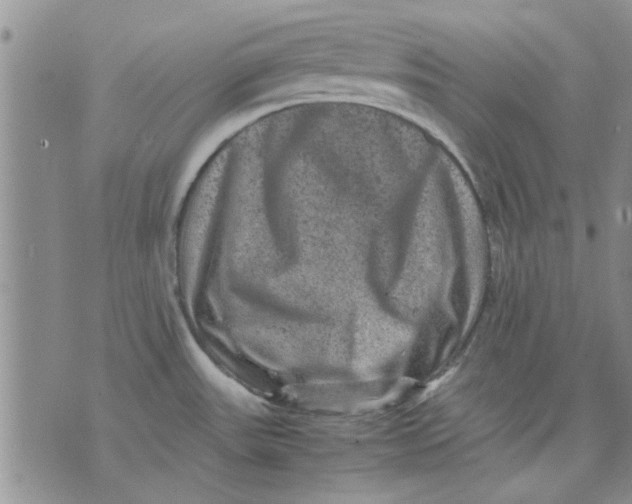 X0000071861531200607211904