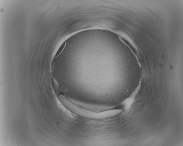 X0000071861532200607211904