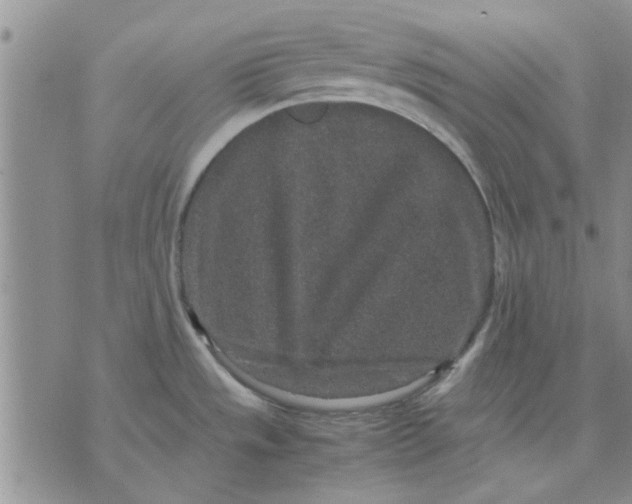 X0000071861533200607211904