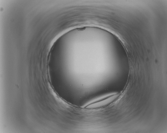 X0000071861534200607211904