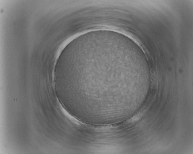 X0000071861535200607211904