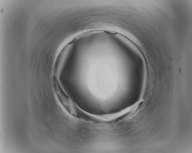 X0000071861536200607211904