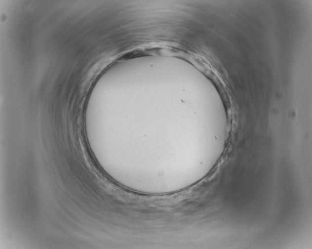 X0000071860001200607290209