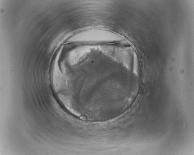 X0000071860002200607290209